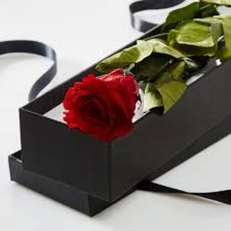 Boxed single Rose