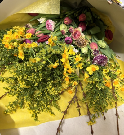 Spring Flower Bouquet - The Spring Flower bouquet is a beautiful bunch of seasonal flowers in mixed colours perfect to send to someone special whatever the reason may be.

This popular and striking selection includes Tulips, daffodils, Scented Nacissus, foliage and other spring blooms. These flowers will create an impressive display which will be welcomed in any room of the home.

This beautiful bouquet is gift wrapped in Kraft papaer, tissue paper and is finished with a fabric bow. Together with your personal hand written message on one of our hand picked luxury message cards, this will be a gift which will truly be remembered.

Our beautiful blooms are freshly delivered daily from the auctions in the Netherlands, so you can be rest assured you are sending the best quality flowers there are.

Please note it may be necessary to substitute some of the flowers due to seasonal availability, however this will not alter the overall style and look of the bouquet.

The bouquet shown in the picture is the Luxury sized bouquet