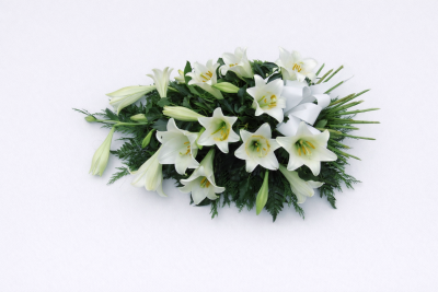 Lily Sheaf Spray - This is a sheaf spray, which, although it gives the appearance of a tied bunch of flowers, it is arranged in water retaining foam (oasis) to ensure maximum freshness.

 

This gorgeous and elegant sheaf spray is made with white Longiflorum lilies together with other seasonal foliages which complement the style of this beautiful floral tribute. It is finished with an organza bow wrapped around the stems.

 

The Lily Sheaf Spray is available in 3 sizes.

 

Standard size is 2ft

 

Deluxe size is 2 ½ ft

 

Luxury size is 3ft

 

 

 

If you would like an alternative colour or type of lilies, please indicate this in the request box when you order.

 

 

 

We deliver directly to all of the local funeral directors and will contact them to confirm a delivery time.

 

Our flowers at Sarah Coxon Floral Design arrive fresh from the Dutch auctions every day so you can be rest assured we are using the best quality of flowers available.

 

At Sarah Coxon Floral Design we are delighted to present this product available for flower delivery in Mid and North Norfolk.