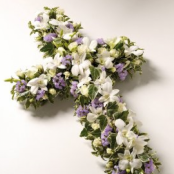 Mixed flower cross